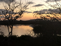 Serene