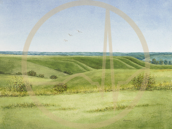 Flint Hills Serenity