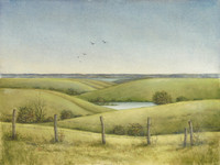 Flint Hills Open Fence