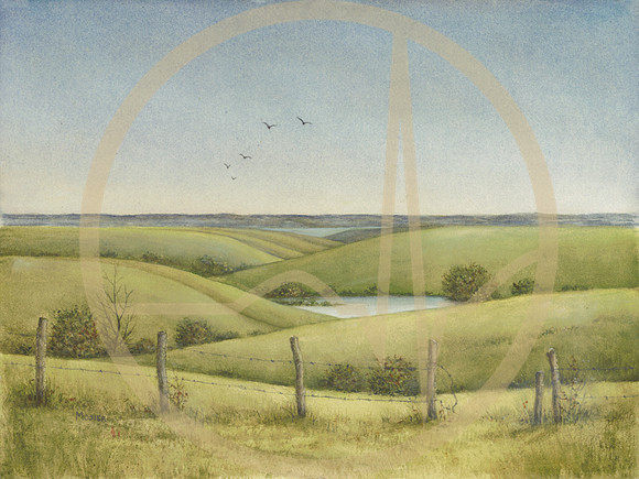 Flint Hills Open Fence