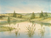 Flint Hills Cat Tails