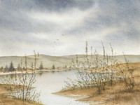 Flint Hills Taking Flight