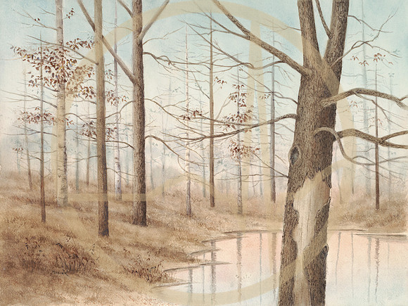 October Mist