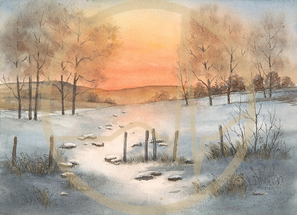 Evening Glow